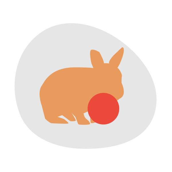 うさコレ icon